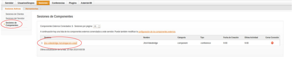Jitsi correctamente conectado.png