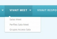 Opciones Menu VIVAit Meet.jpg