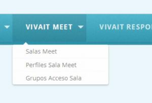 Opciones Menu VIVAit Meet.jpg